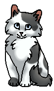 Дождинка (котёнок)