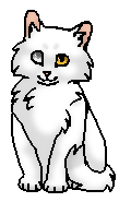 Беляночка (котёнок)