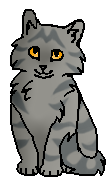 Мятничек (котёнок)