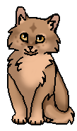 Буковничек (котёнок)