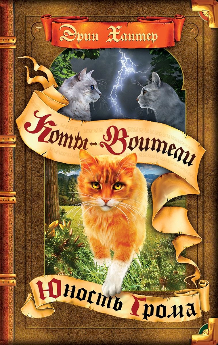 Юность Грома Котывоители вики FANDOM powered by Wikia