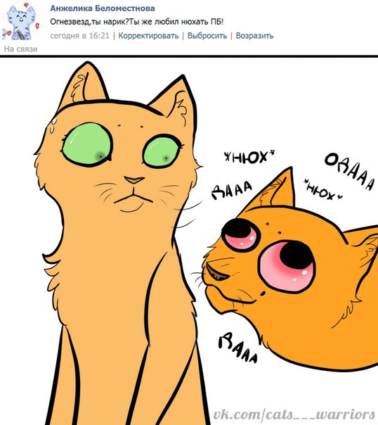 картинки коты воители приколы онлайн картинки коты воители приколы