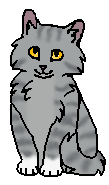 Когтишка ПТ (котёнок)