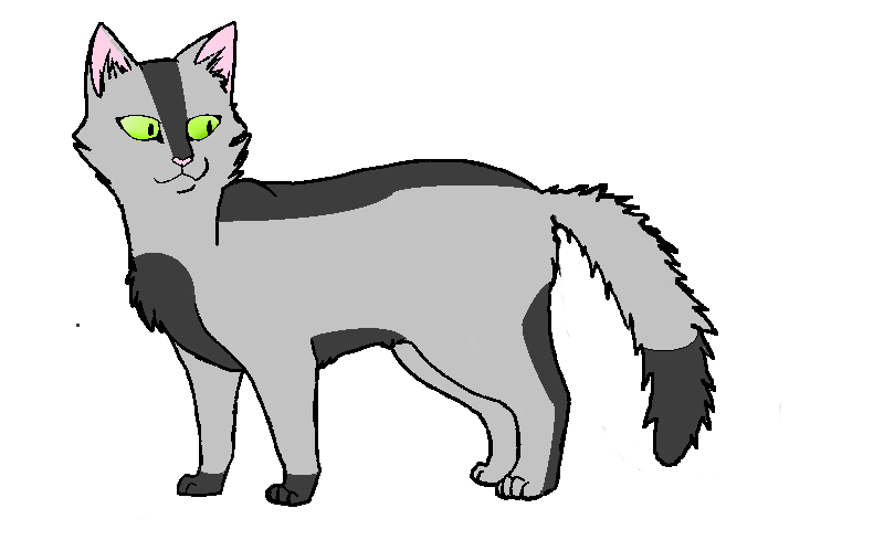 Коты воители модели