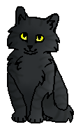 Чешуйка (котёнок)