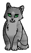 Быстринка (котёнок)