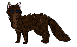 клок кометы коты. коты воители щербатая и звездолом. клок кометы коты. коты воители клок кометы арты. клок кометы кв.