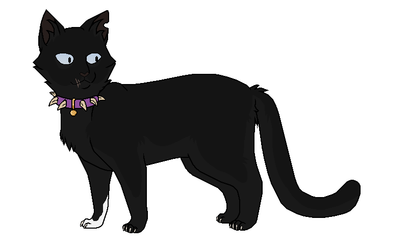 Бич | Коты-воители вики | FANDOM powered by Wikia