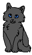 Ручеёк (котёнок)