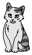 Утёска (котёнок)