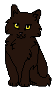 Выдрочка (котёнок)