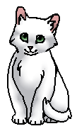 Белогрудка (котёнок)