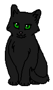 Чернокрылка (котёнок)