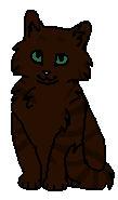 Пышечка (котёнок)