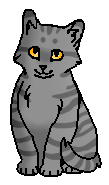 Паутинка (котёнок)