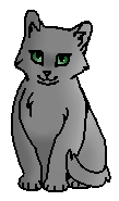 Ивиночка (котёнок)