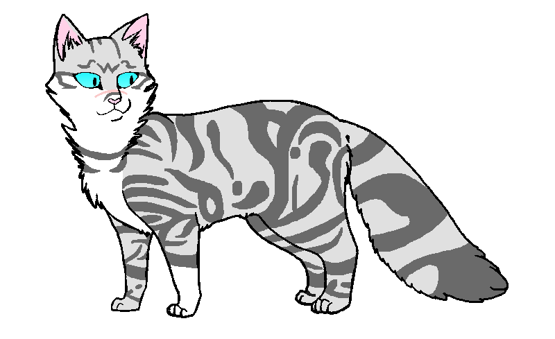 Коты воители модели