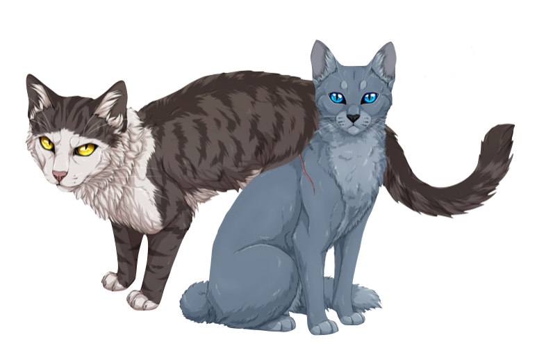 Thistlefur | Warriors Couples and Kits Wiki | Fandom