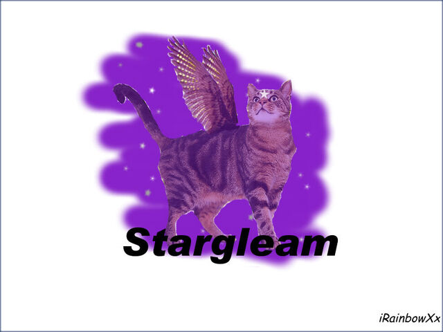 File:Stargleam by irainbowxx-dabsdja.jpg