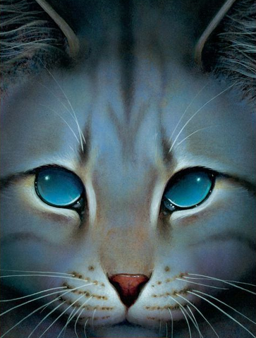 File:Jayfeather.png