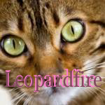 Leopardfire.personal