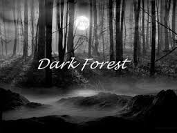 The Dark Forest