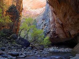 300px-Zion Narrows