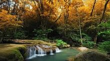 Images-0