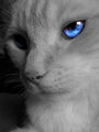 Thumbnail for version as of 05:15, October 14, 2012