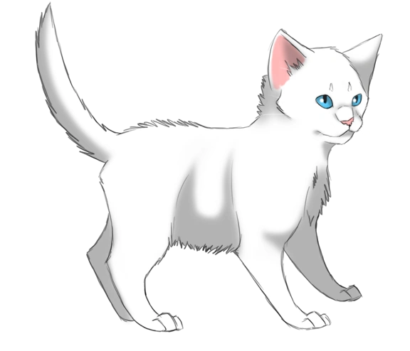 white warrior cats