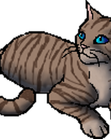 Willow Tail Warriors Wiki Fandom