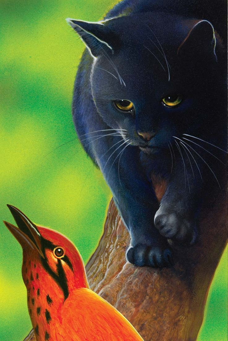 Crowfeather | Warriors Wiki | FANDOM powered by Wikia