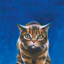 Leafpool Main Article Warriors Wiki Fandom