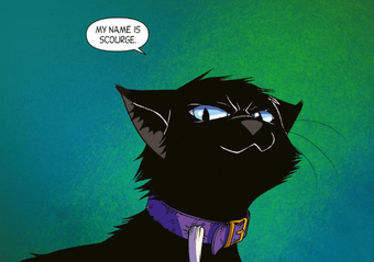 Scourge History Warriors Wiki Fandom