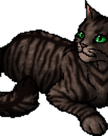 Fernpelt Warriors Wiki Fandom