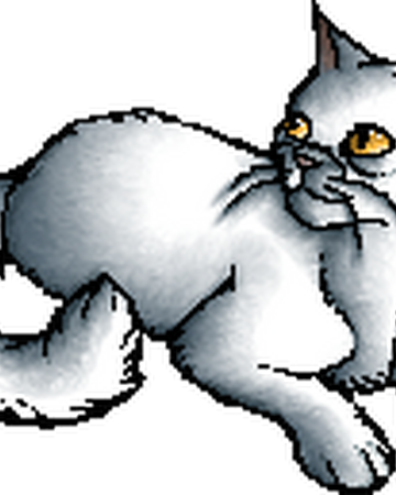 Cloudberry Tc Warriors Wiki Fandom