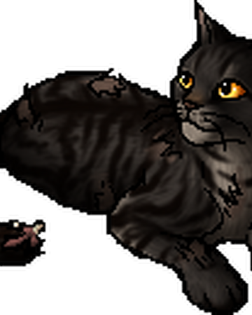 Halftail Warriors Wiki Fandom