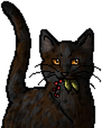 Hawkheart Warriors Wiki Fandom