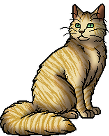 Warrior Cats Herb List And Uses