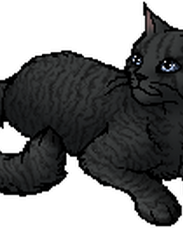 Rippletail Rc Warriors Wiki Fandom