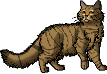 Pixy06.personal