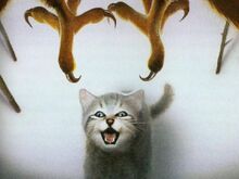Snowkit