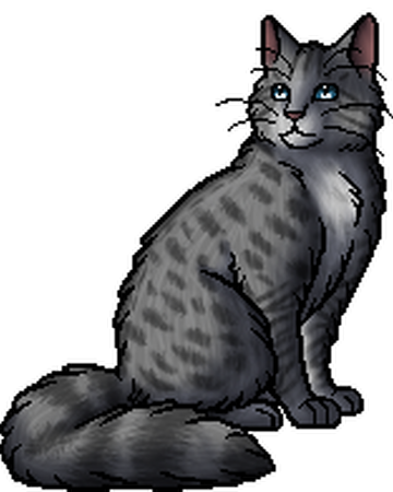 Wetfoot Warriors Wiki Fandom