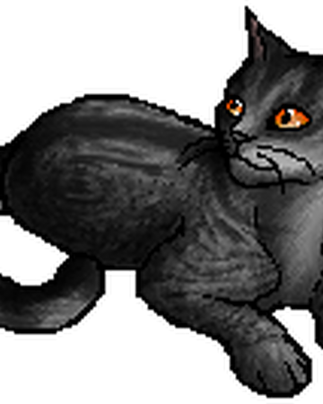 Webfoot Warriors Wiki Fandom