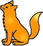 Wildfoot-1-