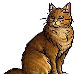Lionblaze Main Article Warriors Wiki Fandom