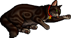 Parsleyseed Warriors Wiki Fandom