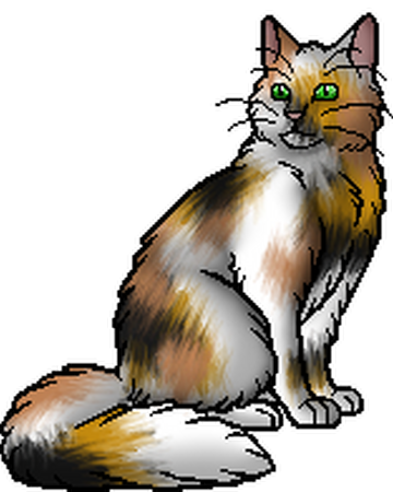 Hopwhisker Warriors Wiki Fandom