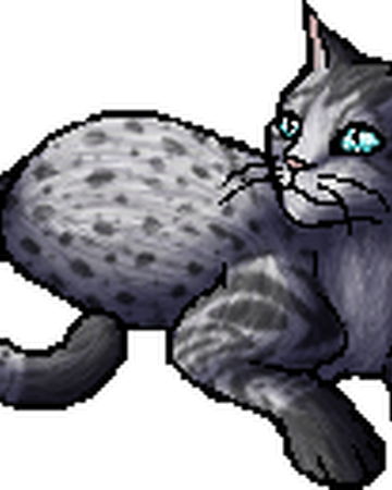 Rainfur Skc Warriors Wiki Fandom