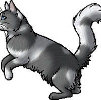 Drizzle Warriors Wiki Fandom